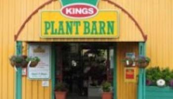 Where To Buy Waimea Nurseries Products