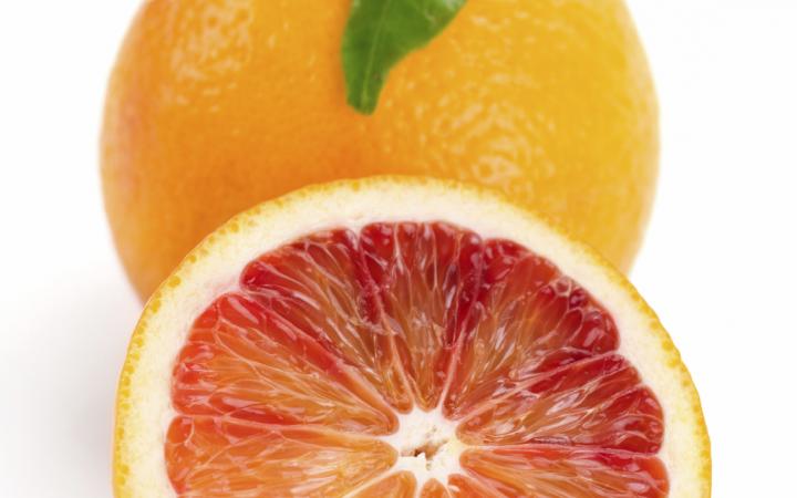 ORANGE Tarocco (Blood Orange)