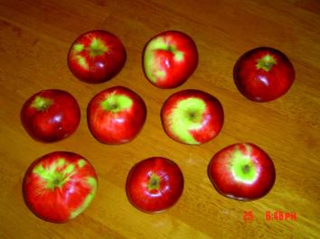 APPLE Hetlina