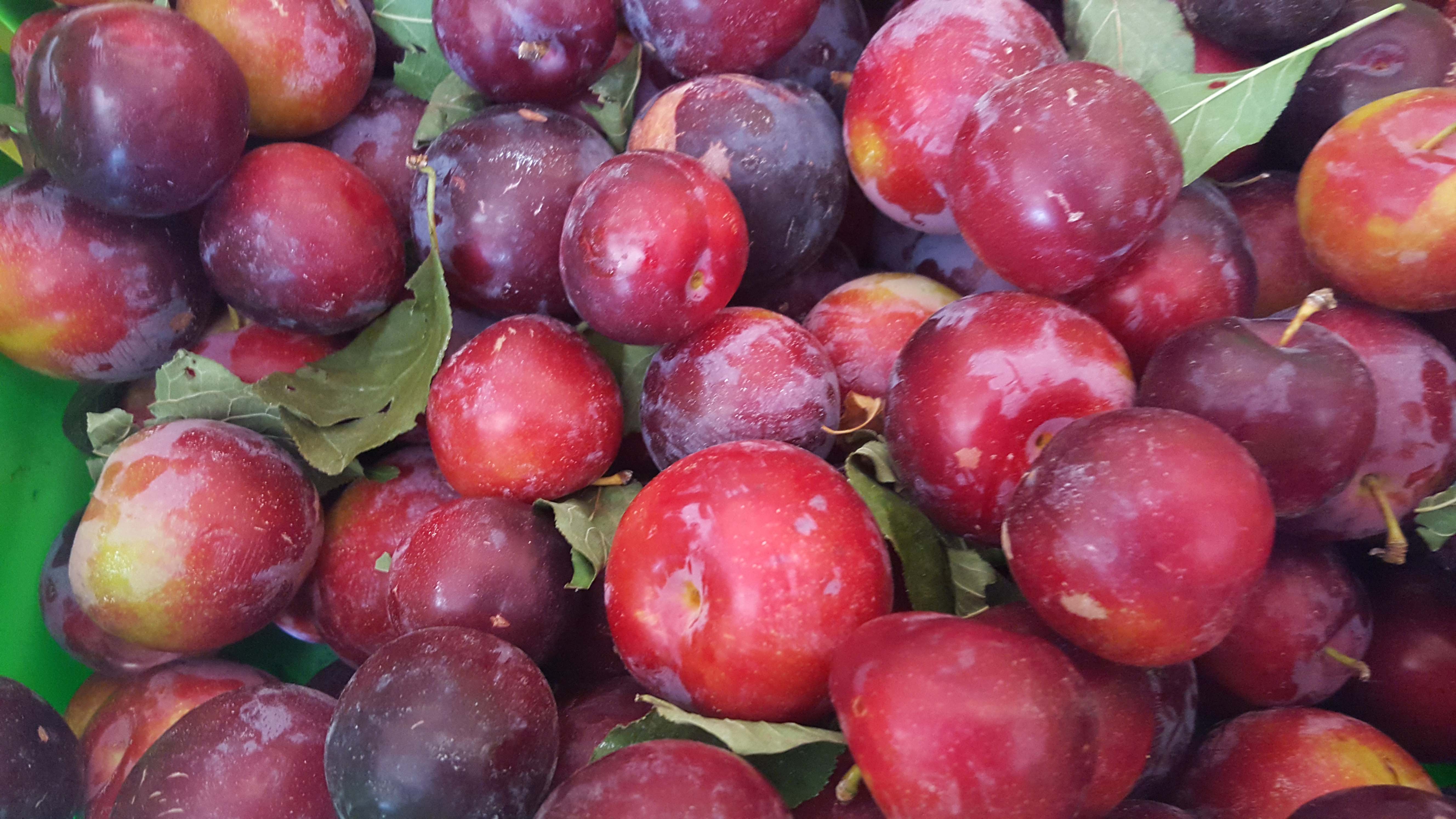 plums