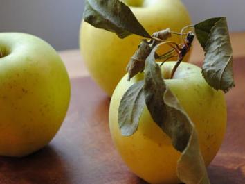 APPLE DOUBLE - Golden Delicious & Red Delicious